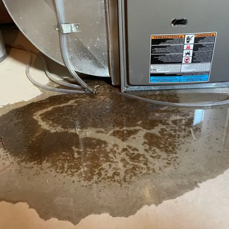 Pipe Burst and Leak Restoration in Kerrville, TX