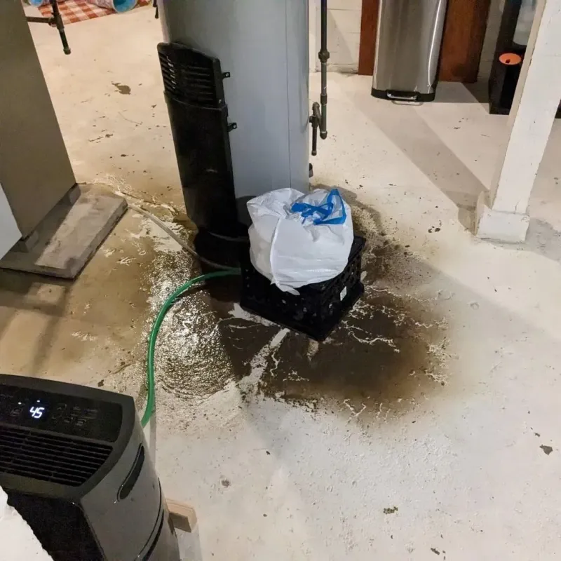 Sewage Backup Cleanup Service in Kerrville, TX